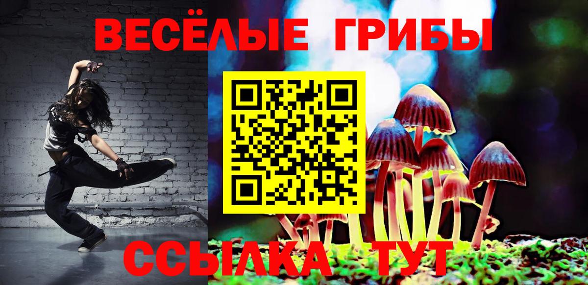 Галлюциногенные грибы Psilocybe  Вход с VPN  Галлюциногенные грибы Cubensis  Красноармейск 